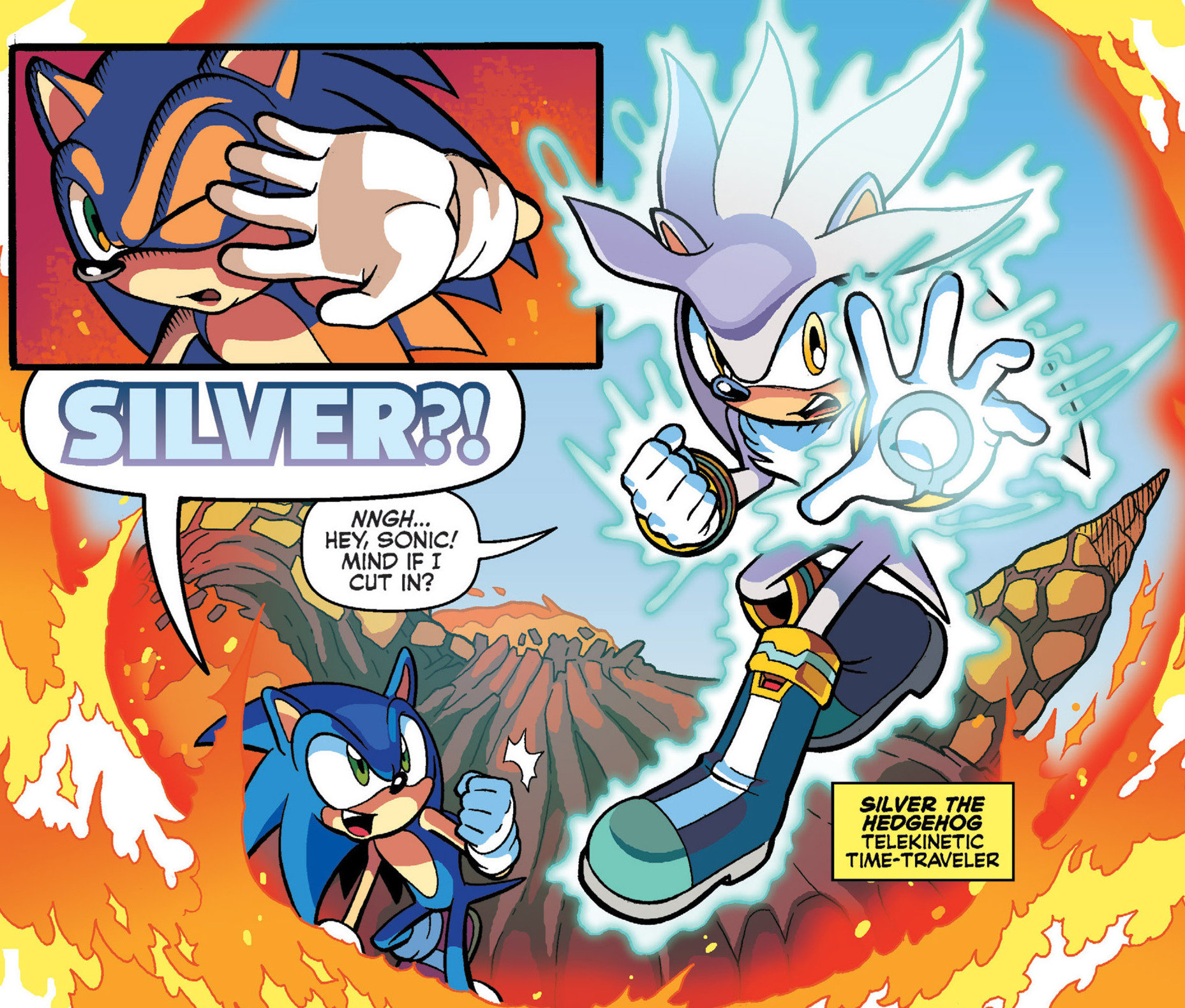 blaze the cat and silver the hedgehog comics