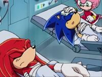 Nurse Amy taking care of Sonic