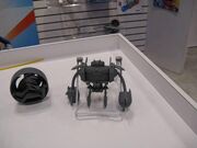 Burnbottoy.jpg