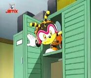 Sonic X