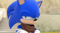 SB S1E28 Sonic disapprove