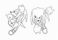 Conceptos de Knuckles.