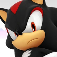 Shadow the Hedgehog