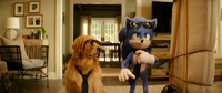 SonicMovie2HomeAloneScreenshot34