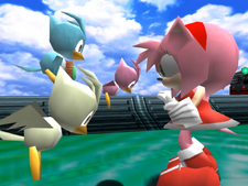 Sonic Adventure Amy and Birdie family