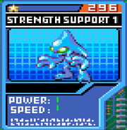 Strength Support 1