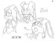 Vanilla expressions Sonic advance 2 SonicX concept art