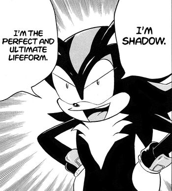 Shadow the Hedgehog, Sonic Dash Wiki