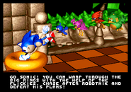 Sonic, you should spin around that thing, not to transport with others
