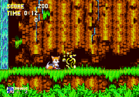 Score Sonic's corrupted ring form