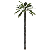 SonicUnleashed StepPalm