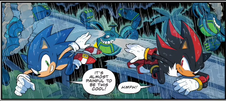 Sonic and Shadow working together