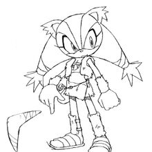 Sticks The Badger Gallery Sonic News Network Fandom Sonic the hedgehog, often simply known as sonic, is the title character from the video game series named sonic the hedgehog, released by the japanese video game developing company sega. sticks the badger gallery sonic news