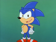 Sonic Says 12 7