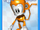 Card 089 (Sonic Rivals).png