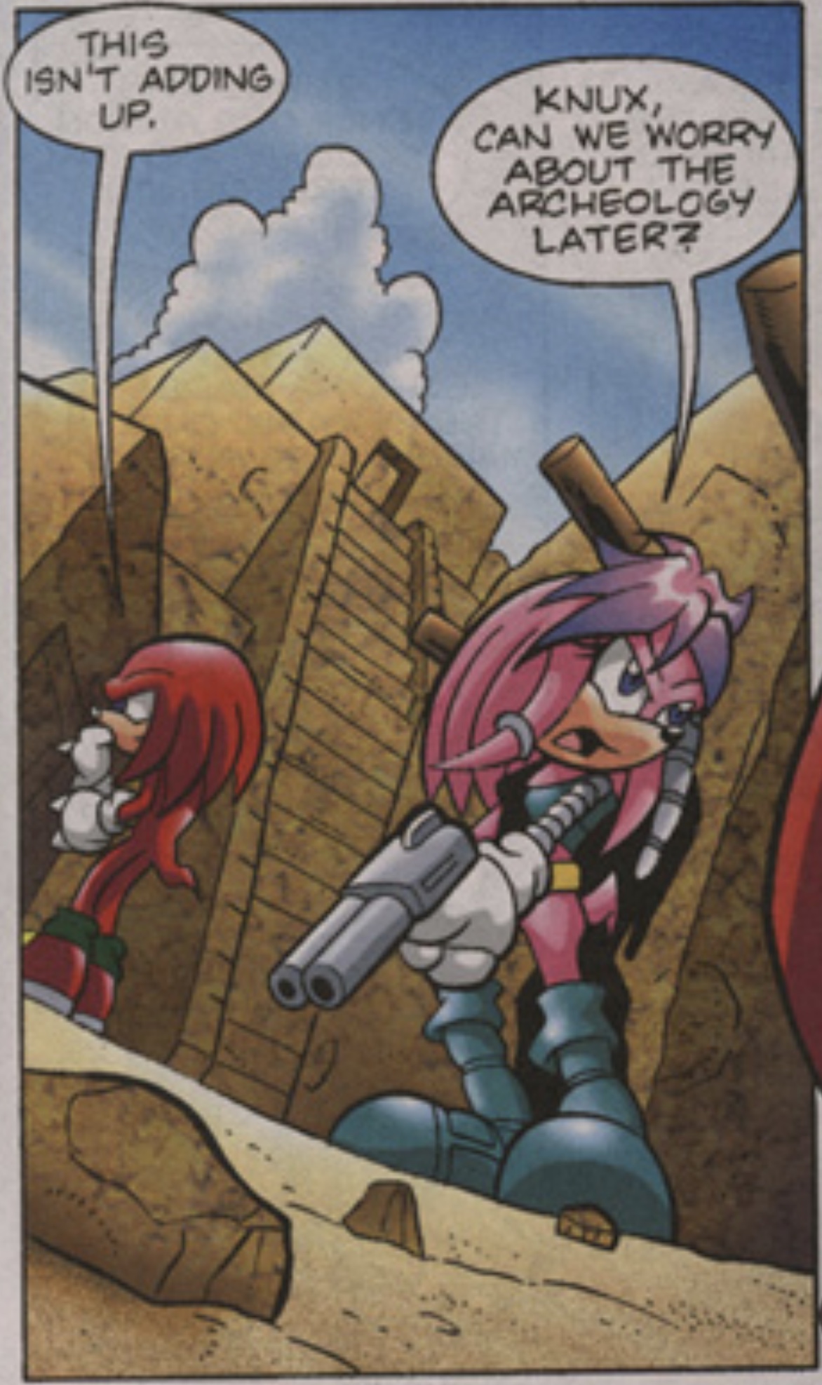Julie-Su And Knuckles  Sonic heroes, Sonic the hedgehog, Sonic funny