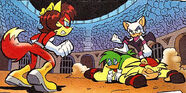 Rouge fight