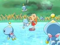 "Little Chao Lost"