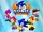 Sonic the Fighters