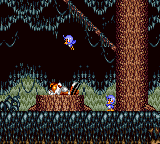 TAILS ADVENTURE SEGA game gear complet EUR 311,00 - FR