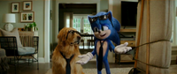 SonicMovie2HomeAloneScreenshot35