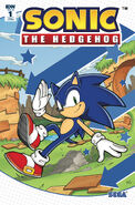 Sonic the Hedgehog #1 (April 2018). Art by Kieran Gates.