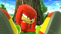 Knuckles down