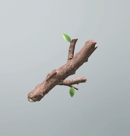 FP twig