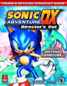Sonic Adventure DX Directors Cut GameCube MANUEL ONLY