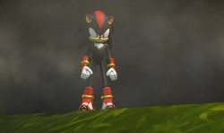 Shadow the Hedgehog (Sonic Boom)/Gallery