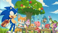 Sonic's party