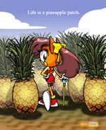 Sxc tiara pineapple