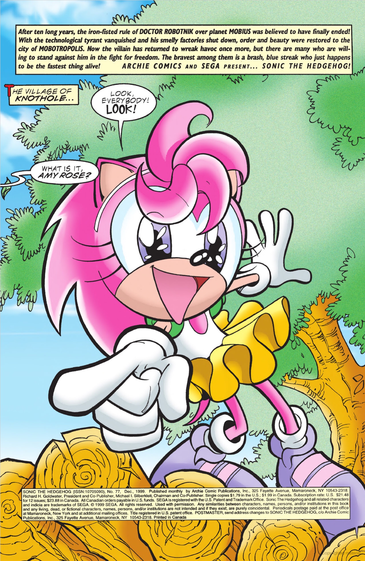 Amy Rose (Sonic Universe) (Comic Book Character)