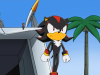 Shadow The Hedgehog Walking