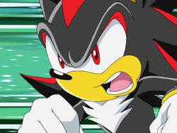 Shadow the Hedgehog (Sonic X)/Gallery, Sonic Wiki Zone