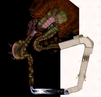 Digital Dimension (Extra)