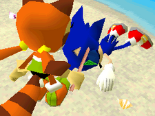 Sonic is found by Marine Sonic Rush Adventure