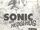 Sonic the Hedgehog (8-bit)/Manuals
