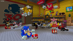 Sonic the Hedgehog (Minecraft), Sonic Wiki Zone