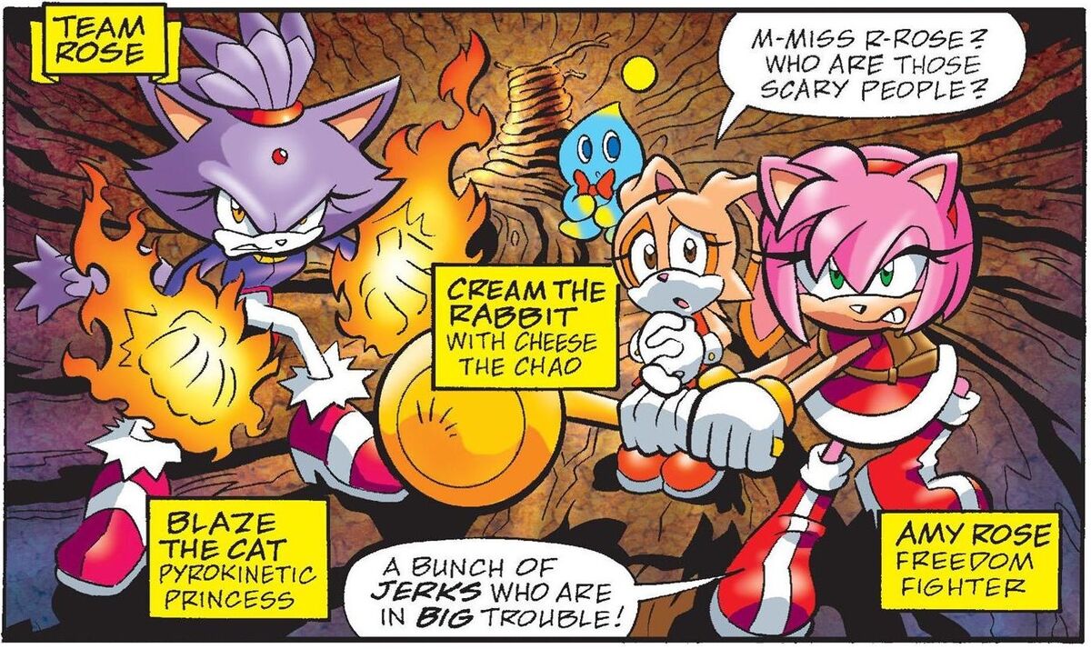 Shadow vs Amy Rose (Sonic Universe Issue #22) : r/SonicTheHedgehog