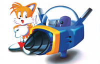 Tails with the Sea Fox