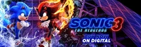 Twitter profile banner (Sonic and Shadow)