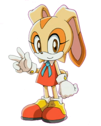 Cream Sonic X