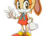 Cream the Rabbit (Sonic X)