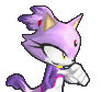 Blaze the Cat