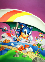 Sonic using a Hang Glider, Sonic the Hedgehog 2 (8-bit)