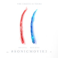 SonicMovie2 TheChoiceIsYoursPoster