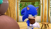 SB S1E40 Sonic acting