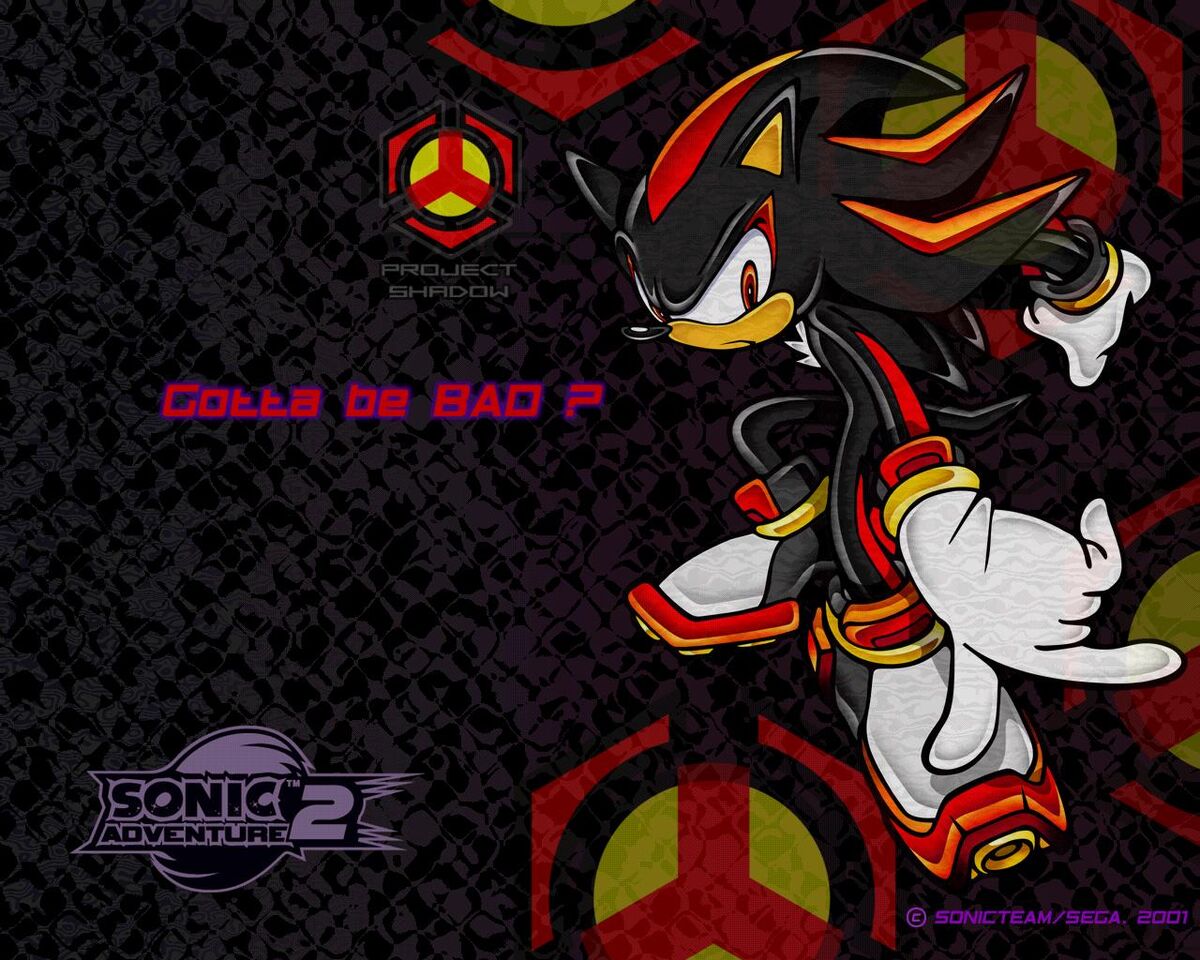 acqua scanlations — Sonic X Shadow Wallpaper Cover Story & Article