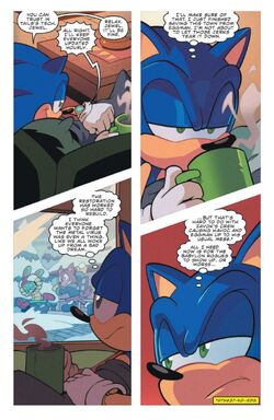 Sonic IDW #42, Wiki